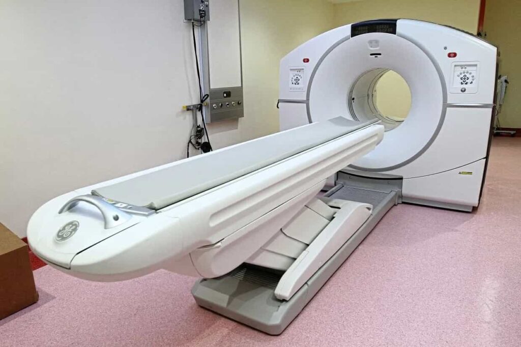 Why Might Your Pet Need a PET Scan?