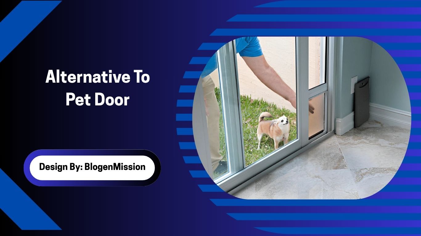 Alternative To Pet Door