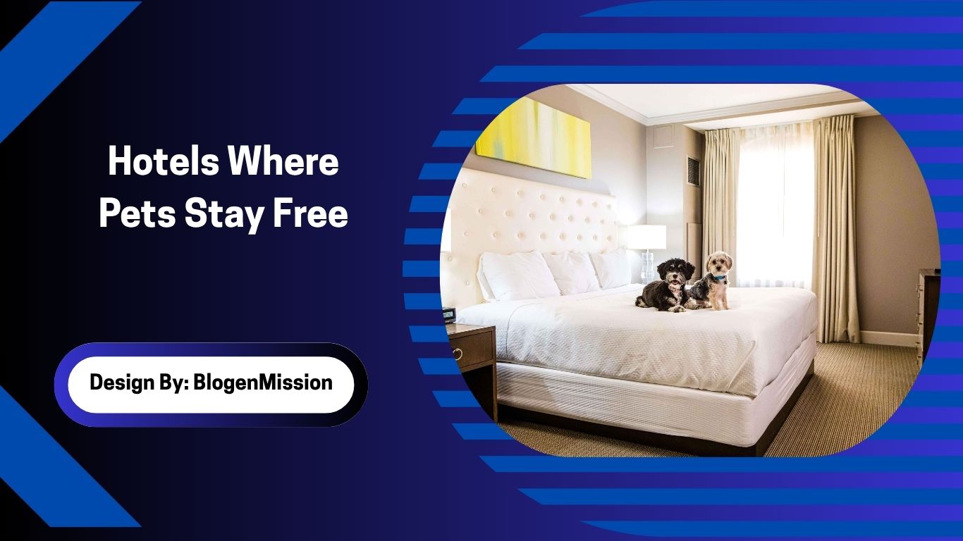 Hotels Where Pets Stay Free