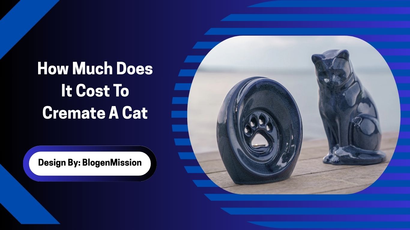 How Much Does It Cost To Cremate A Cat