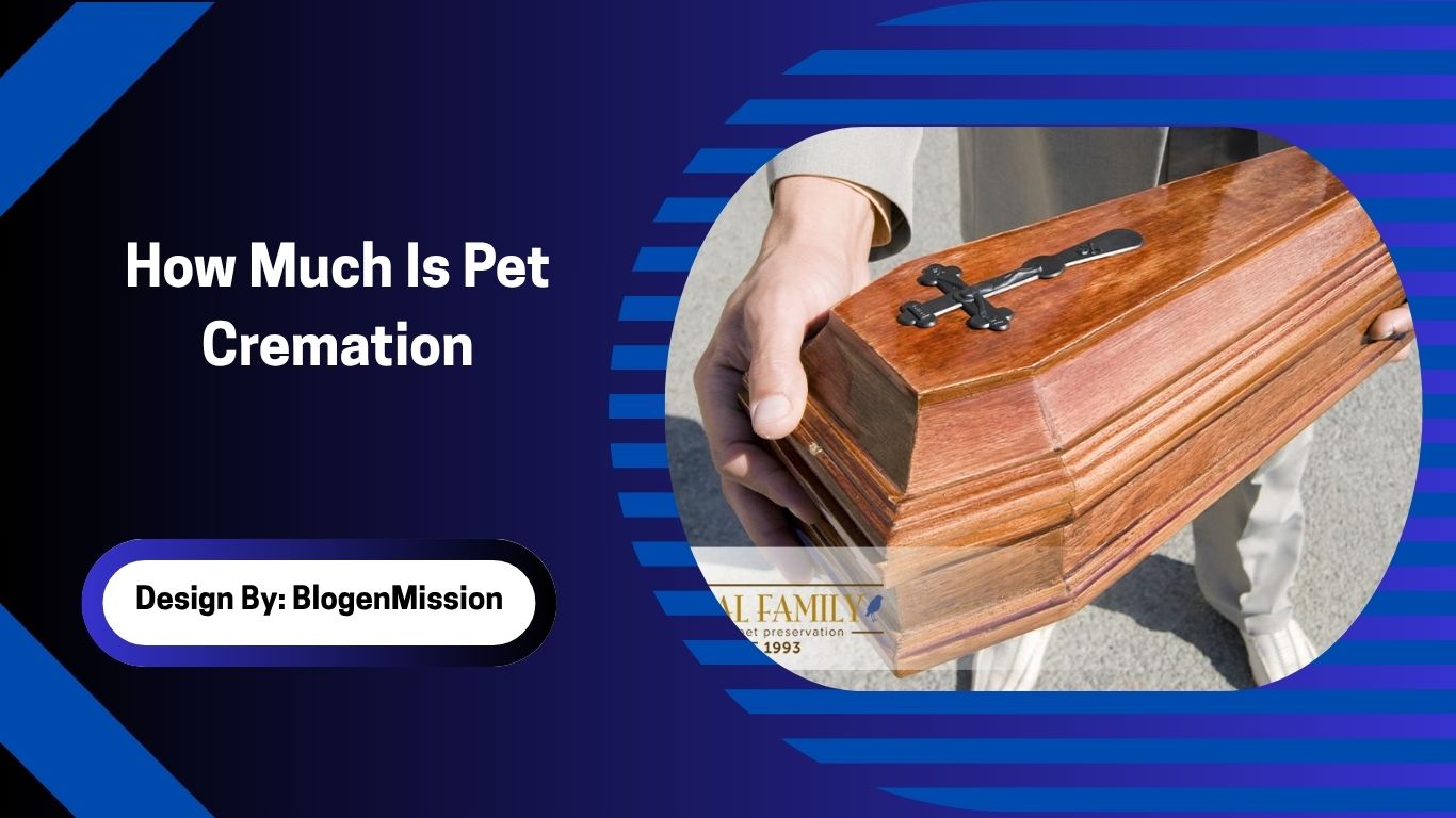 How Much Is Pet Cremation