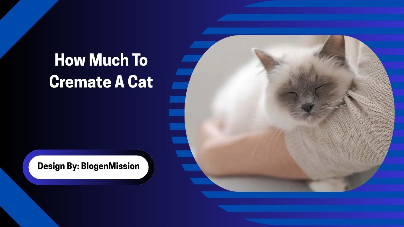 How Much To Cremate A Cat