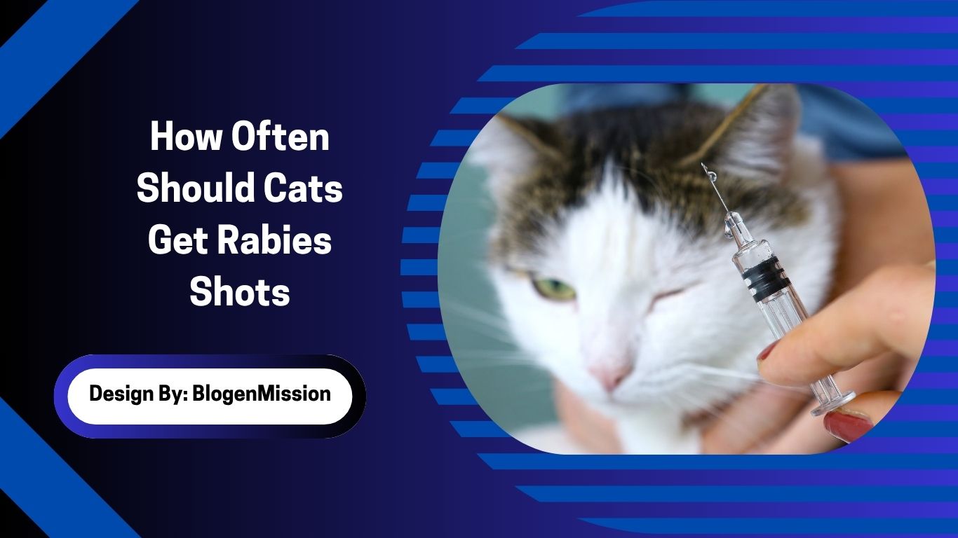 How Often Should Cats Get Rabies Shots