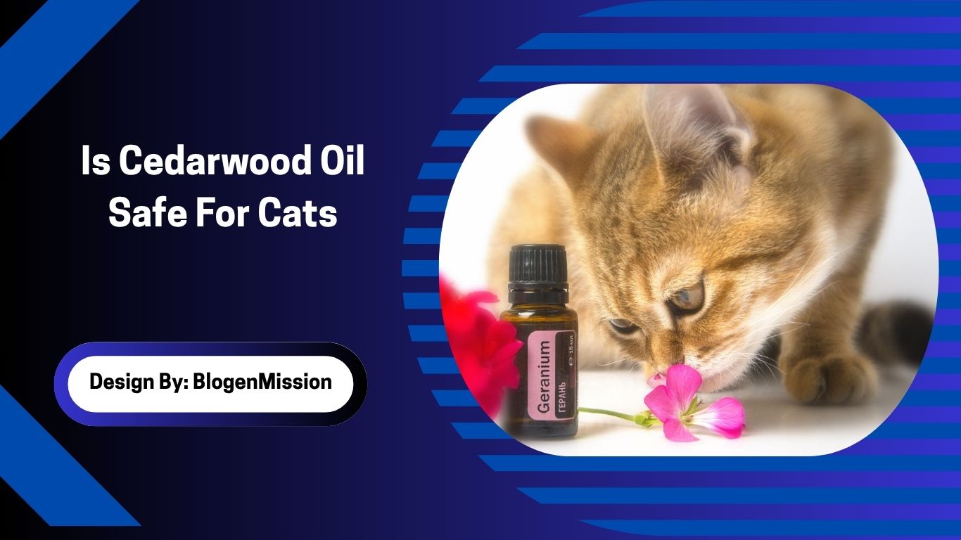 Is Cedarwood Oil Safe For Cats