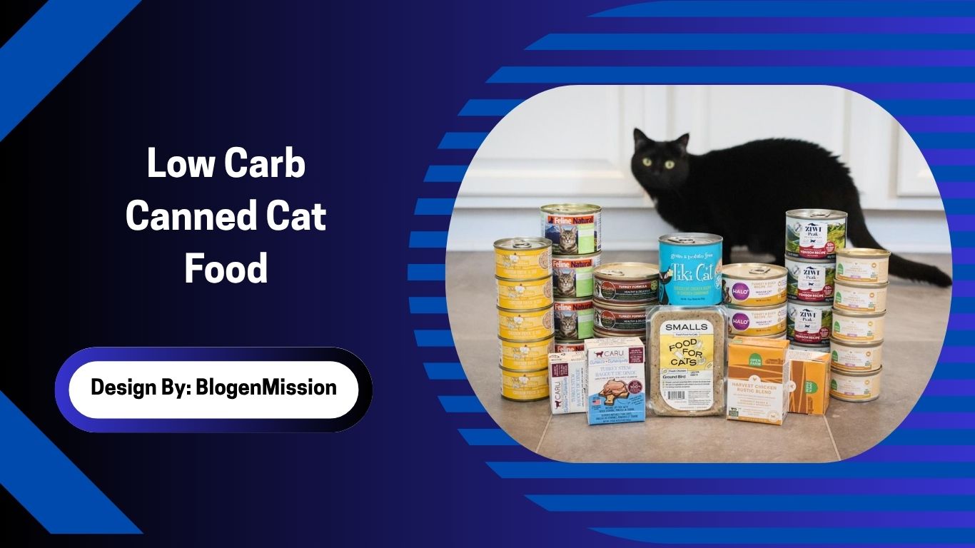Low Carb Canned Cat Food