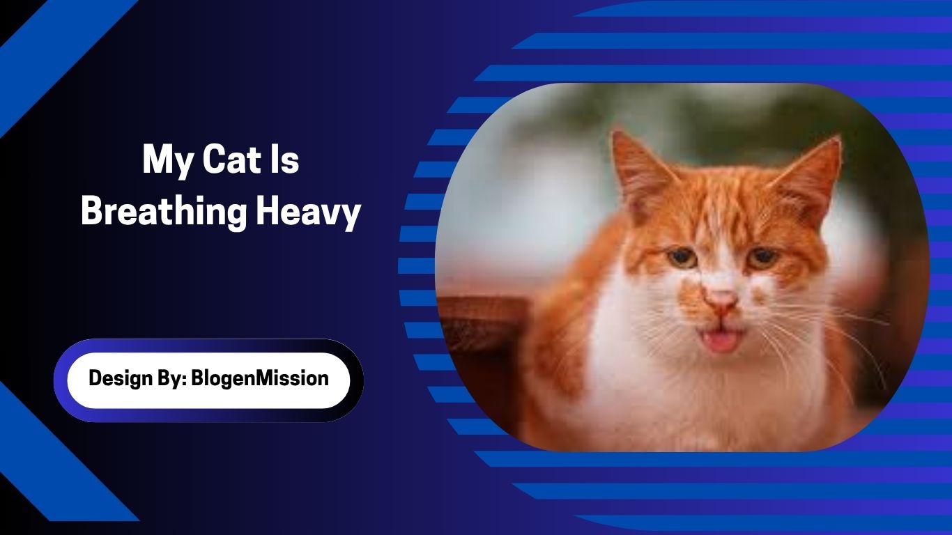 My Cat Is Breathing Heavy