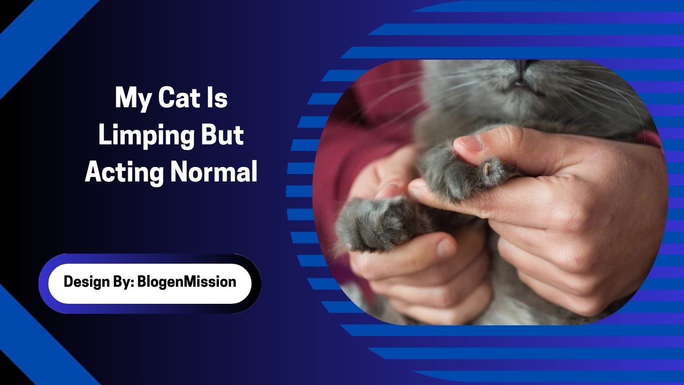 My Cat Is Limping But Acting Normal