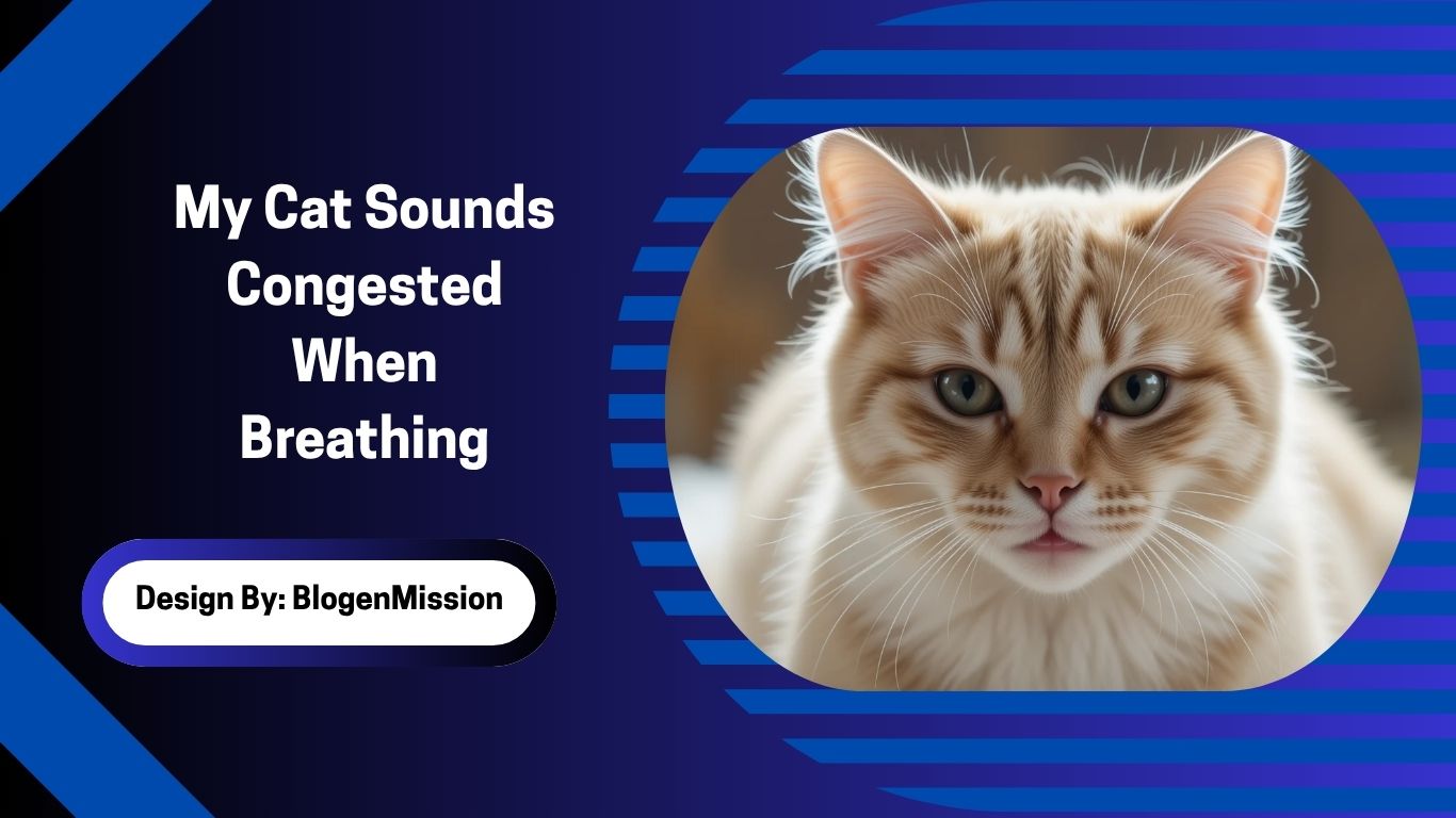 My Cat Sounds Congested When Breathing