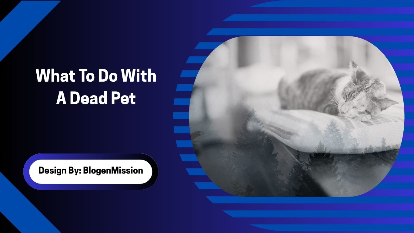What To Do With A Dead Pet