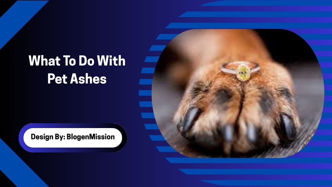 What To Do With Pet Ashes