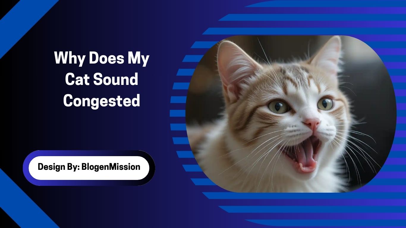 Why Does My Cat Sound Congested