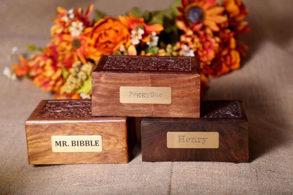Pet Cremation: A Popular Choice