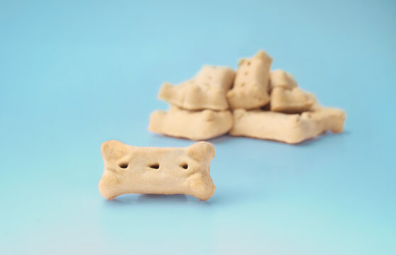 Healthy Alternatives to Milk-Bone