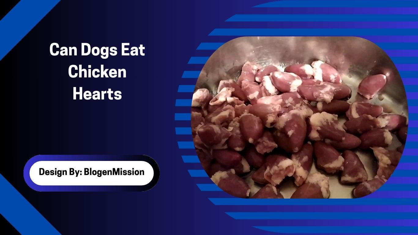 Can Dogs Eat Chicken Hearts