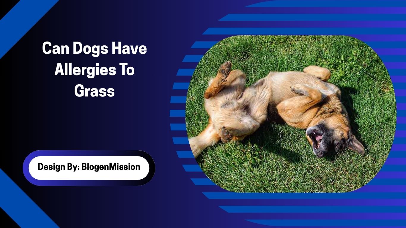 Can Dogs Have Allergies To Grass