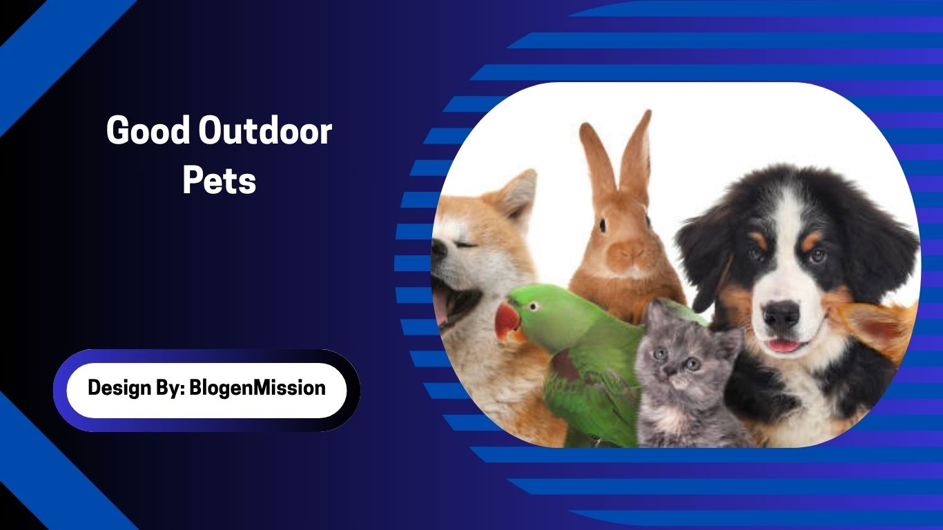 Good Outdoor Pets
