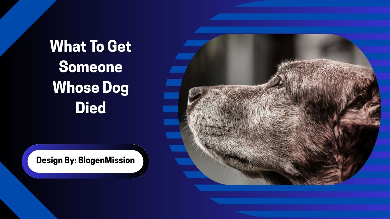 What To Get Someone Whose Dog Died