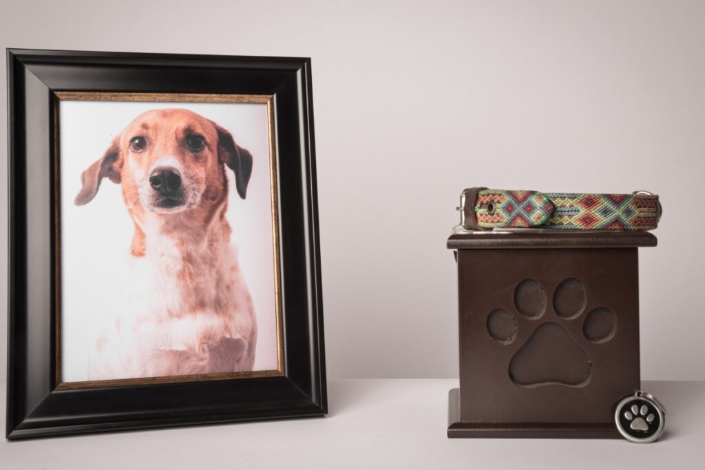 Types of Dog Cremation