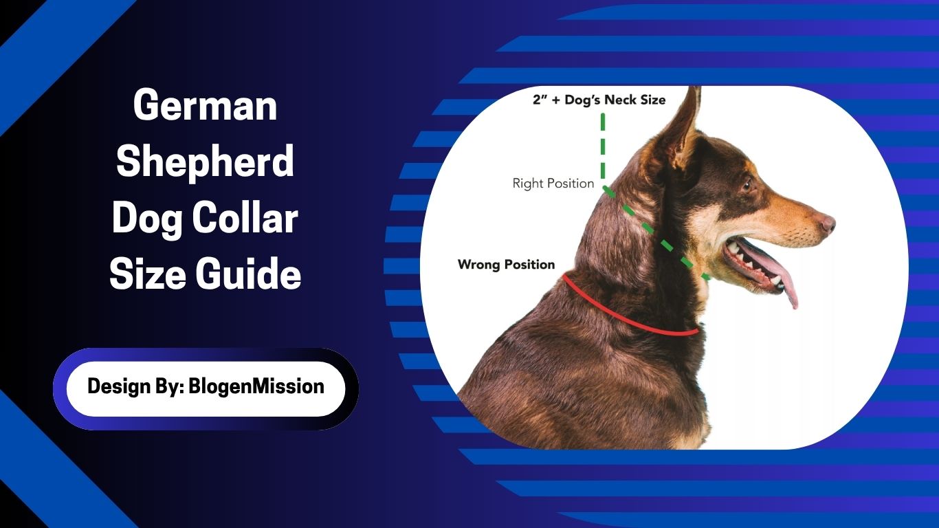 German Shepherd Dog Collar Size Guide
