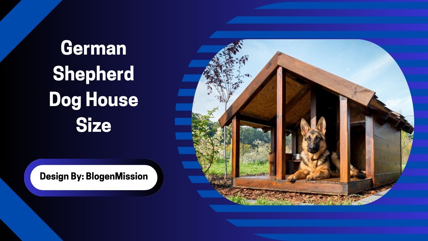 German Shepherd Dog House Size