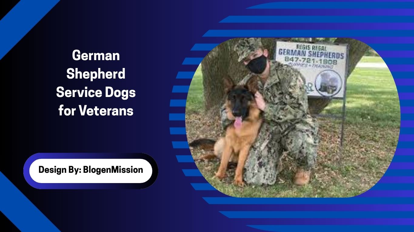German Shepherd Service Dogs for Veterans