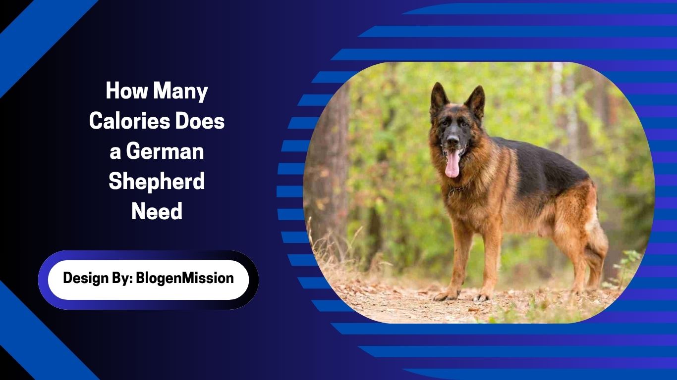 How Many Calories Does a German Shepherd Need